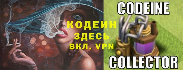 ECSTASY Алзамай