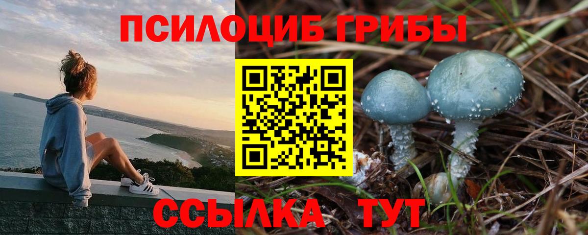 Псилоцибиновые грибы Psilocybine cubensis Алушта
