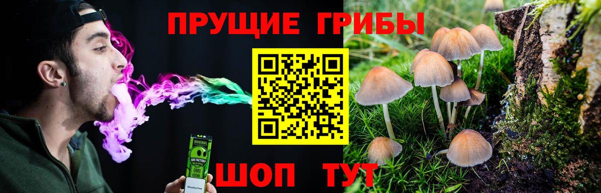 Галлюциногенные грибы прущие грибы  Галлюциногенные грибы MAGIC MUSHROOMS  Алушта  Вход с VPN 